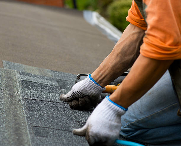 Roof Gutter Cleaning in Farmington, MS